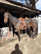 Lot 95
