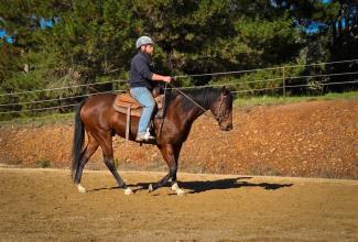 Lot 97