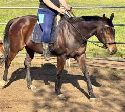 Lot 105