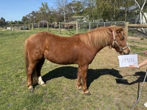 Lot 108