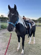 Lot 109