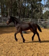 Lot 114