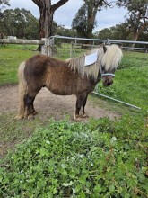 Lot 8