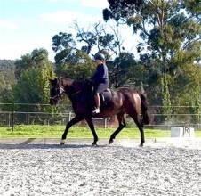 Lot 9