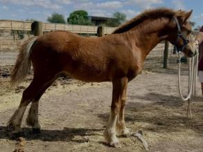 Lot 13