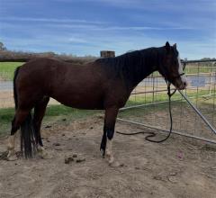 Lot 18