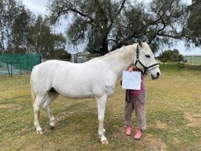 Lot 19