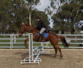 Lot 17