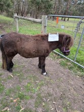 Lot 25