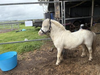 Lot 28