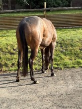 Lot 100