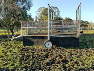 Lot 6