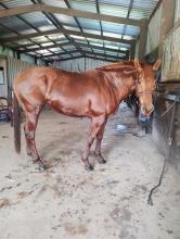 Lot 14