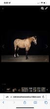 Lot 26