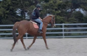 Lot 51
