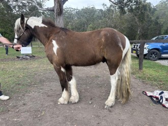 Lot 32