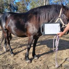 Lot 6