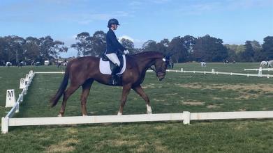 Lot 11