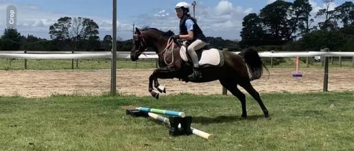 Lot 16