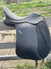 Lot 100