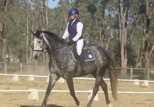 Lot 19