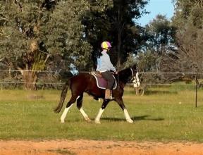 Lot 25