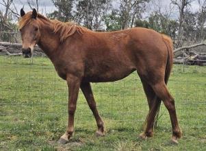Lot 27