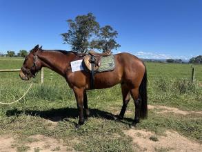 Lot 29