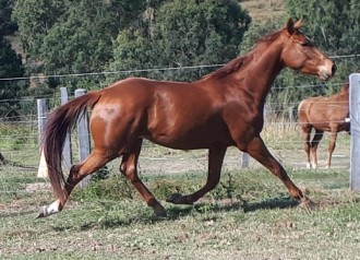 Lot 30