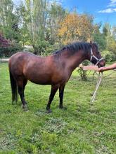 Lot 36