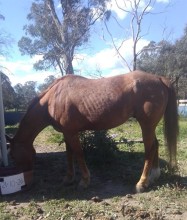 Lot 45