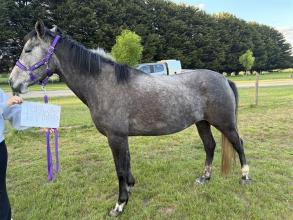 Lot 47