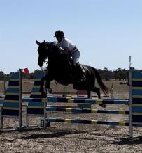 Lot 48