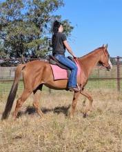 Lot 49