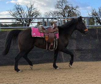 Lot 57