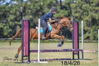 Lot 55