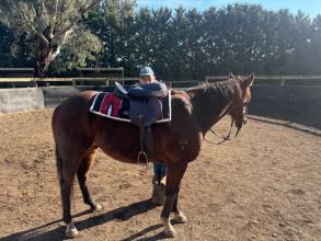 Lot 64