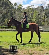Lot 66