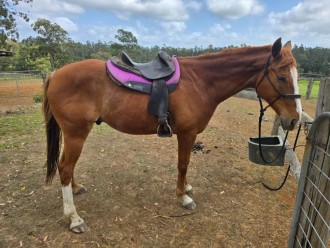 Lot 67
