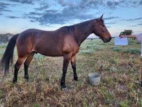 Lot 68