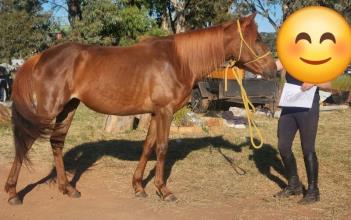 Lot 69