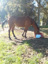 Lot 70