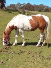 Lot 71