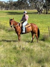 Lot 73