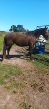 Lot 76