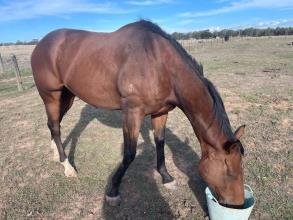 Lot 78