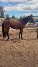 Lot 80