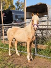 Lot 86