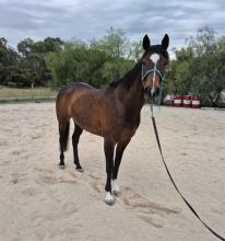 Lot 91