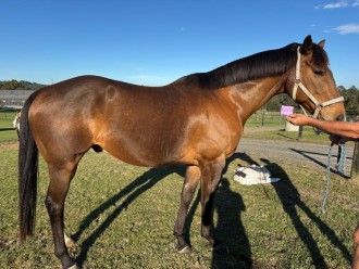 Lot 89